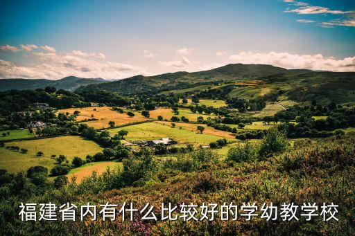  福建省内有什么比较好的学幼教学校
