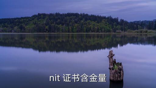 nit 证书含金量