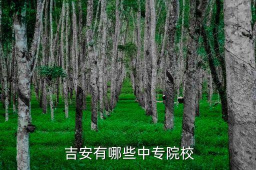  吉安有哪些中专院校