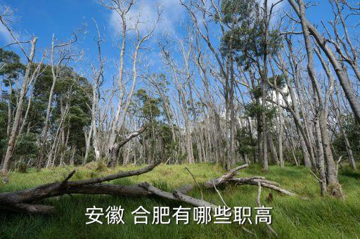 安徽 合肥有哪些职高