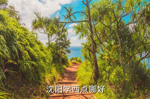 沈阳厨师职业培训学校,普宁市潮菜厨师职业培训学校
