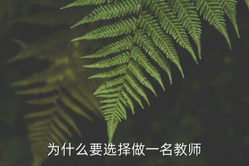 今后想要从事的职业 是老师