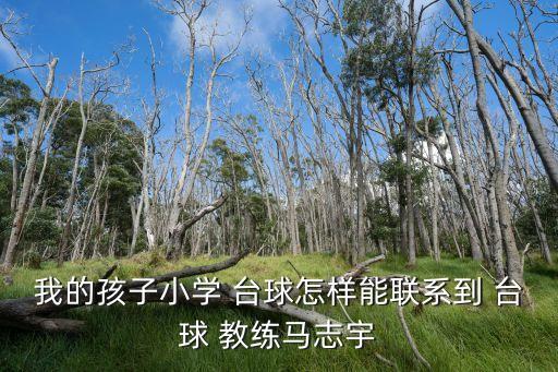 台球职业教练去哪里找,台球教练证去哪里考