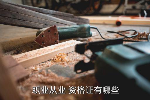  职业从业 资格证有哪些