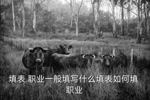 填表 职业一般填写什么填表如何填 职业