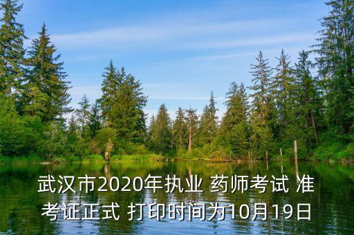 湖北职业药师准考证打印时间,2022年职业药师准考证打印