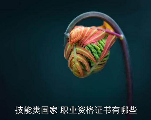  技能类国家 职业资格证书有哪些