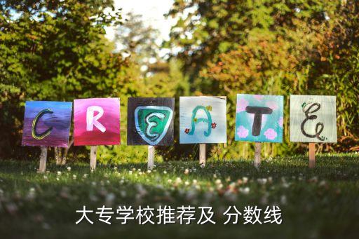 大专学校推荐及 分数线