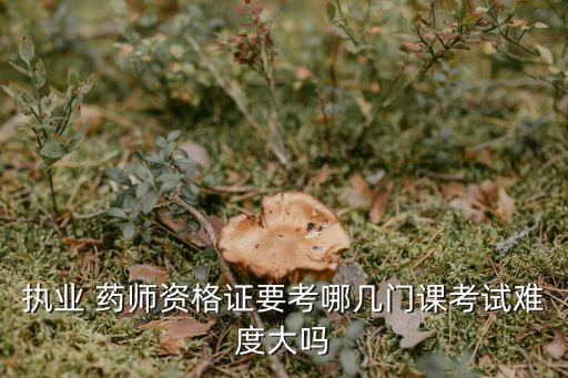 执业 药师资格证要考哪几门课考试难度大吗