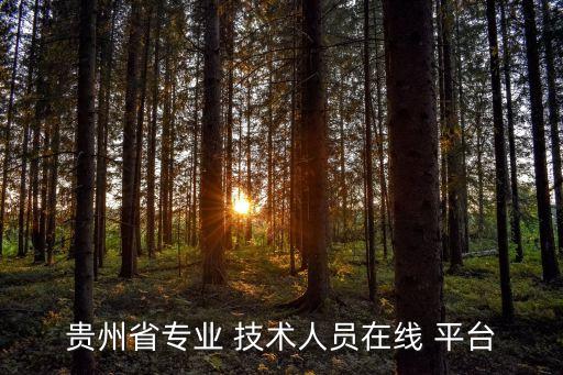 贵州省专业 技术人员在线 平台