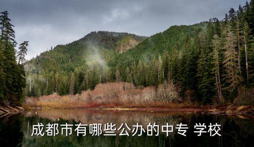 四川德圣职业学校,清远市德圣健康职业学校