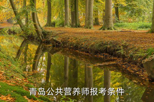 青岛市职业资格证样板,职业资格证样板图片