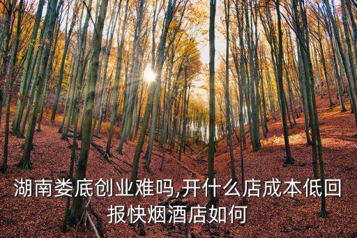 湖南娄底创业难吗,开什么店成本低回报快烟酒店如何