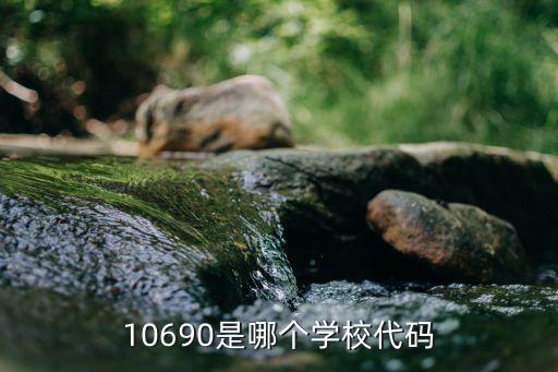 10690是哪个学校代码