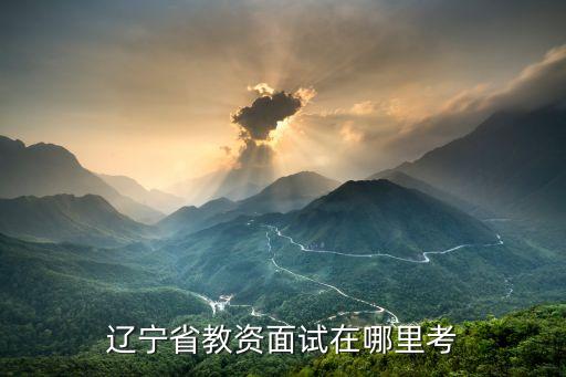 辽宁省教资面试在哪里考