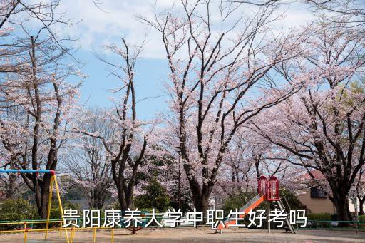  贵阳康养大学中职生好考吗