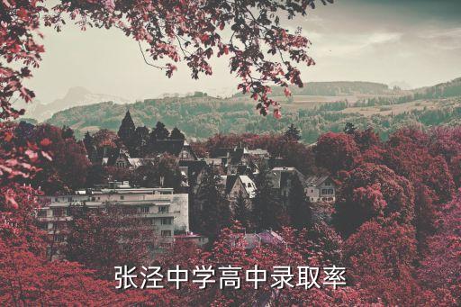 张泾中学高中录取率