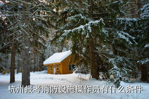 杭州职业等级