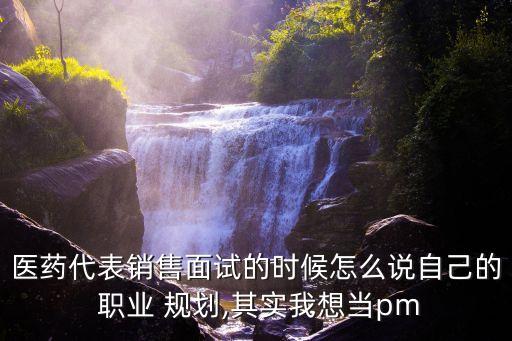 医药代表销售面试的时候怎么说自己的 职业 规划,其实我想当pm