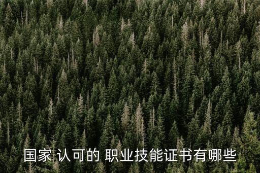 国家 认可的 职业技能证书有哪些