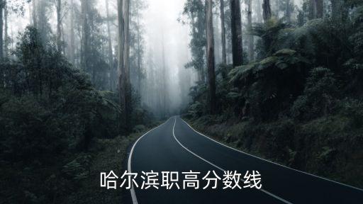 哈尔滨职高分数线