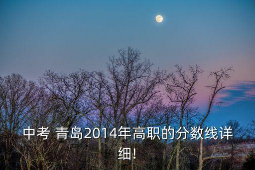 中考 青岛2014年高职的分数线详细!