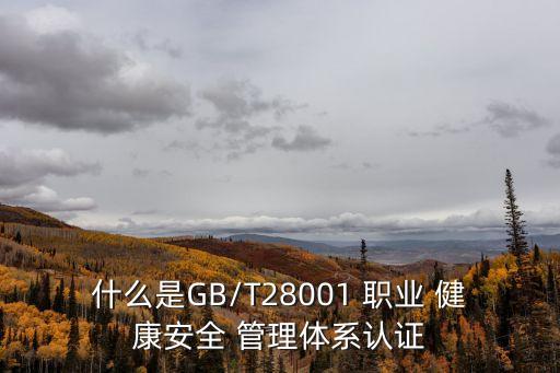 什么是GB/T28001 职业 健康安全 管理体系认证