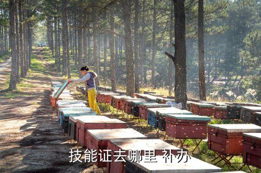 技能证去哪里 补办