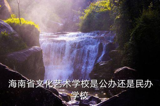  海南省文化艺术学校是公办还是民办学校