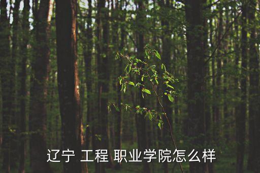 辽宁工程职业学校专业,辽宁生态工程职业学校招生简章