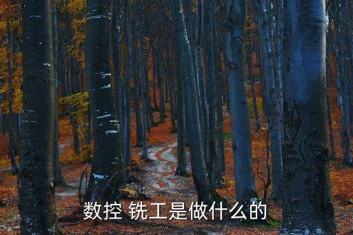 铣工职业标准,初级铣工职业资格证