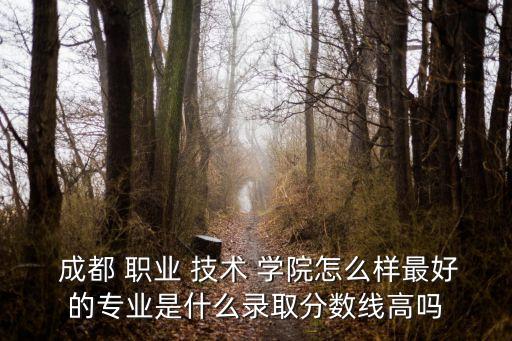  成都 职业 技术 学院怎么样最好的专业是什么录取分数线高吗