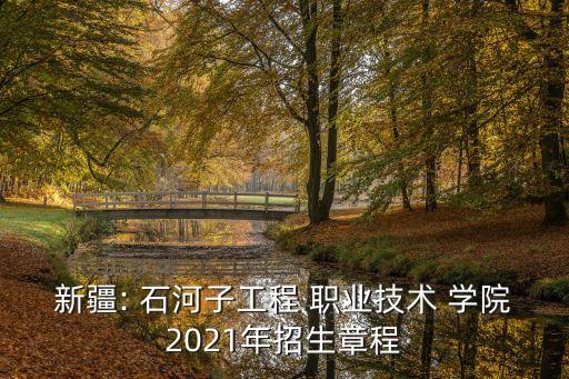 新疆: 石河子工程 职业技术 学院2021年招生章程
