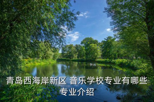 青岛西海岸新区 音乐学校专业有哪些专业介绍