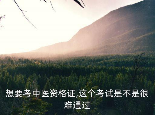 想要考中医资格证,这个考试是不是很难通过