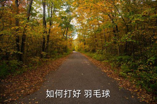 职业羽毛球运动员训练视频,羽毛球运动员一天训练多久