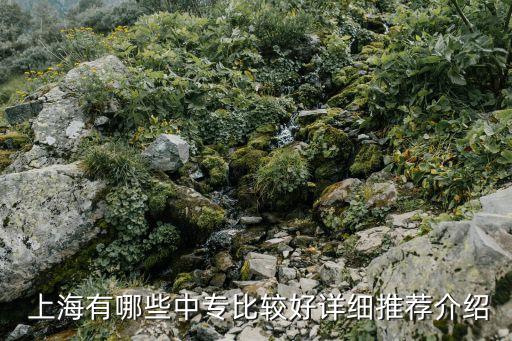  上海有哪些中专比较好详细推荐介绍