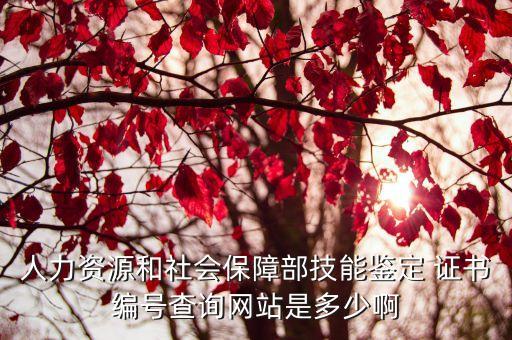 人力资源和社会保障部技能鉴定 证书编号查询网站是多少啊