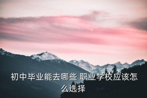  初中毕业能去哪些 职业学校应该怎么选择