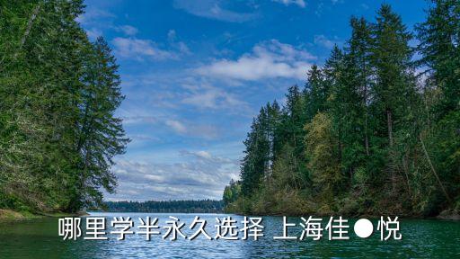 哪里学半永久选择 上海佳●悦