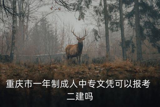 二建与职业药师,二建和药师证可以一起吗