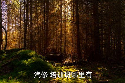  汽修 培训班哪里有