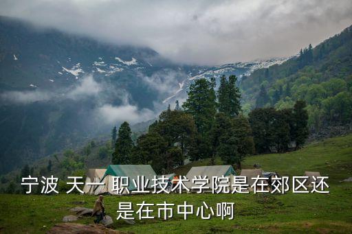 天一职业