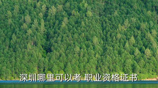 深圳哪里可以考 职业资格证书