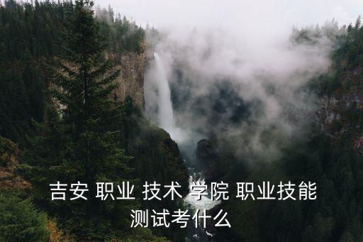  吉安 职业 技术 学院 职业技能测试考什么