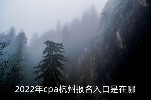 2022年cpa杭州报名入口是在哪