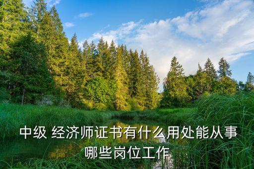  中级 经济师证书有什么用处能从事哪些岗位工作