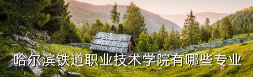  哈尔滨铁道职业技术学院有哪些专业
