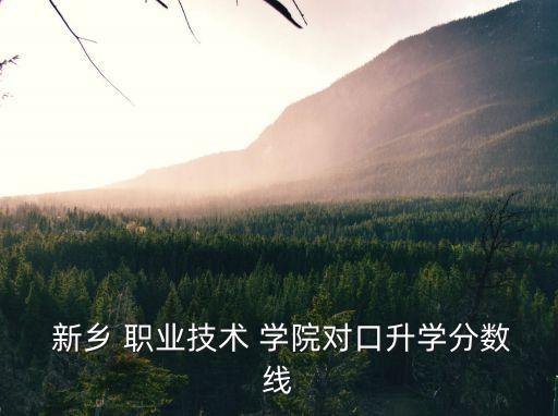 河南省新乡职业技术学院2012届,新乡职业技术学院招生信息网