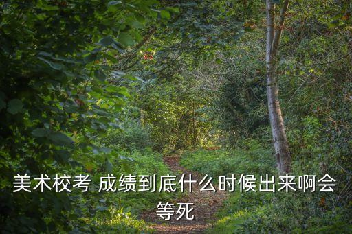 美术校考 成绩到底什么时候出来啊会等死
